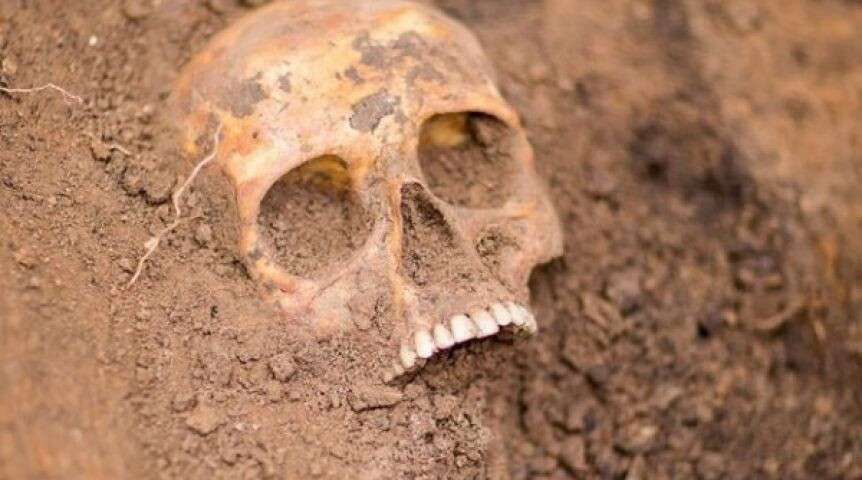 В Днепре нашли скелет человека