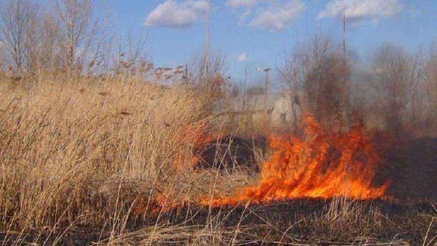 штраф за поджог травы Украина