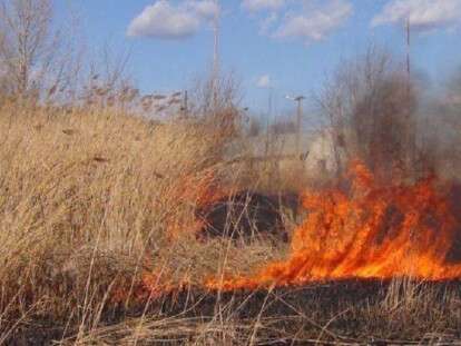 штраф за поджог травы Украина