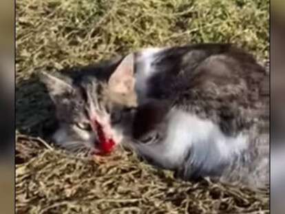 photo_2021-11-16_15-11-23