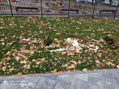 Сакуры на райончике