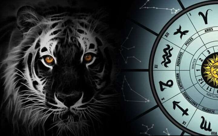Год Черного Водяного Тигра