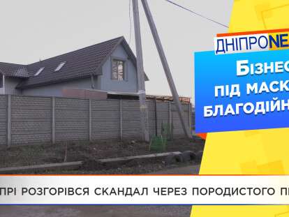 бульдог Днепр Тв