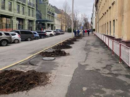 Деревья на Ефремова2