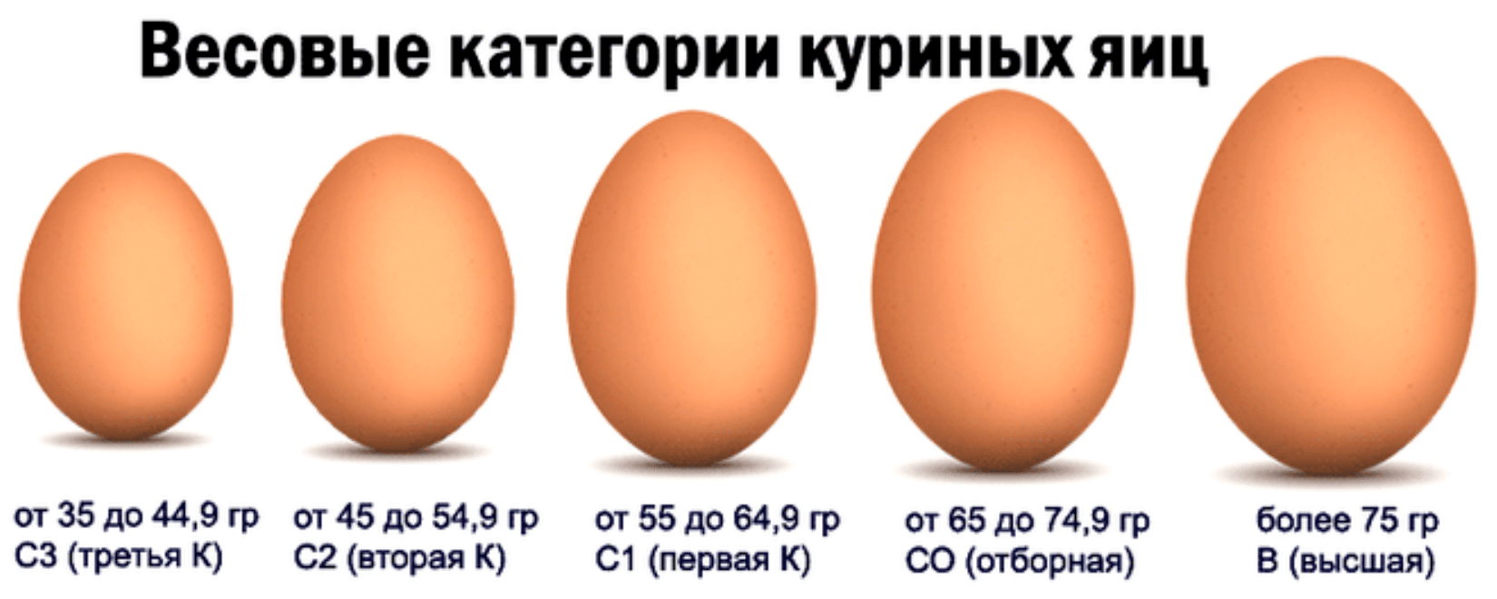 Яйца 2