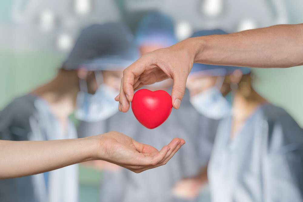 донорство органов