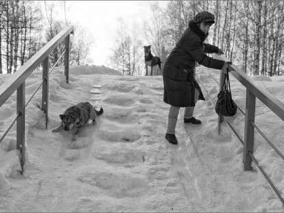 Гололедица