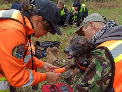 поисковые собаки