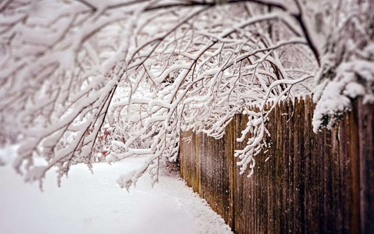 Забор в снегу