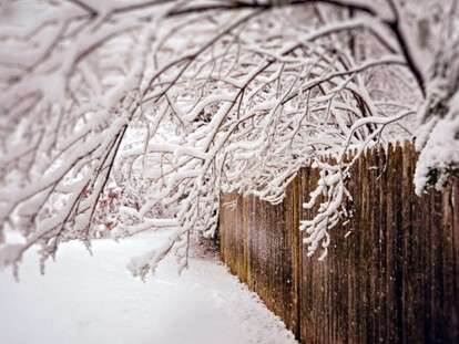 Забор в снегу
