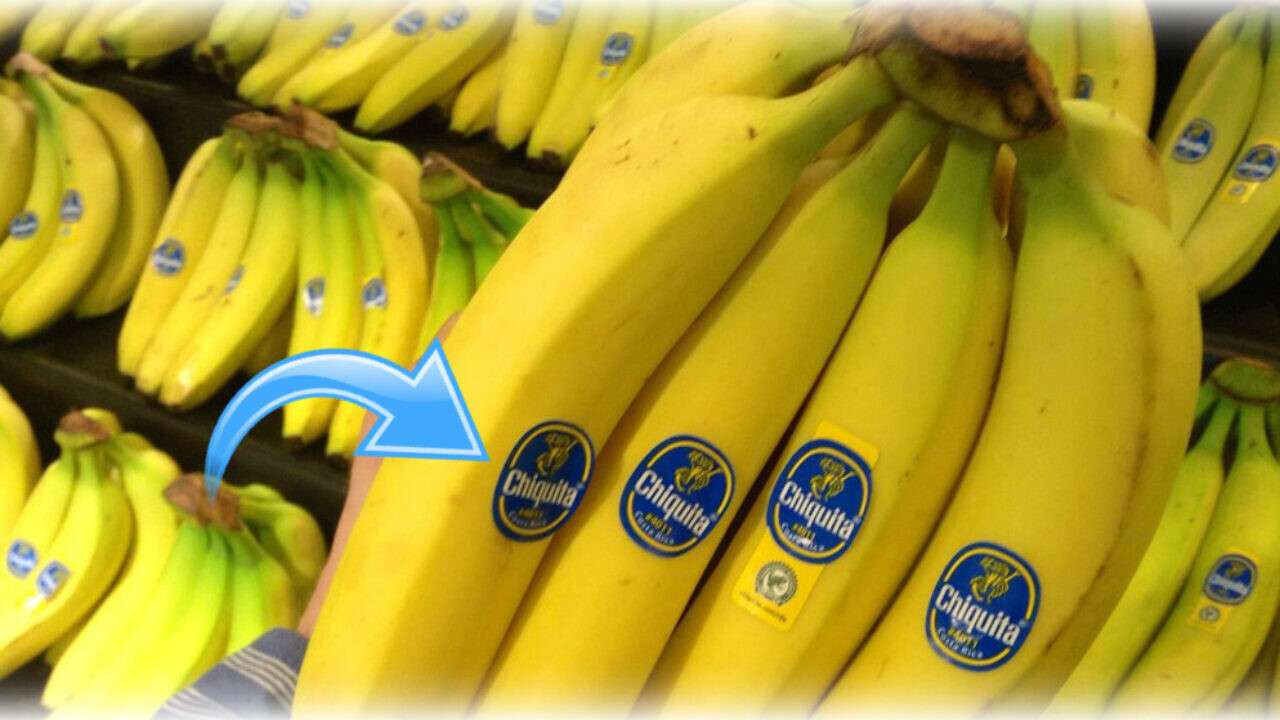 Бананы - наклейка