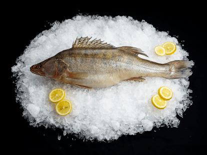 image_2022-01-06_13-52-43