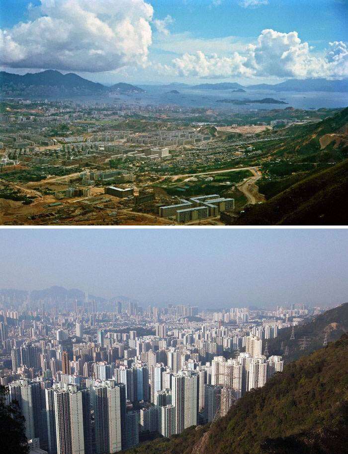 Гонконг, 1964 и 2016