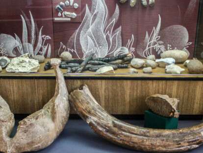 кости мамонта