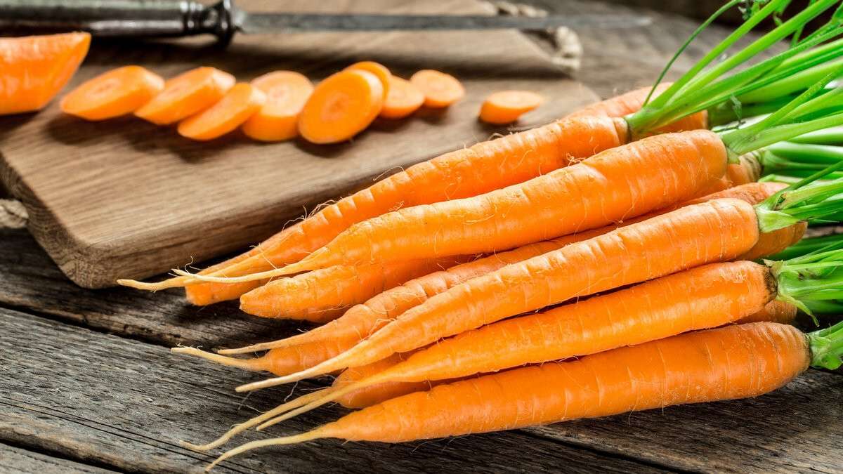 Морковь 1