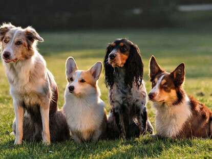 662a89eeeb4db6b1043aff2f5e91bd08