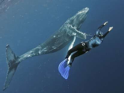 f7f91c8ccda64ad5bb621140aff99837.max-1200x800