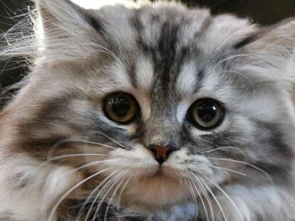 1588644193_0_321_3071_2048_1920x0_80_0_0_fee132516d8e1dc34b87ff087c071453