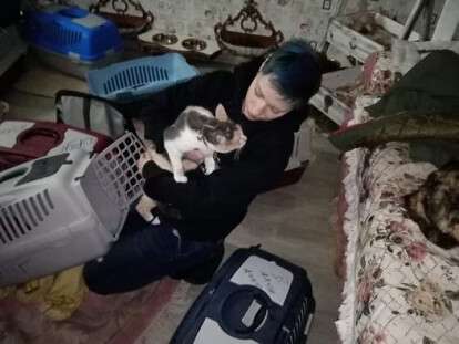 Спасение животных 5