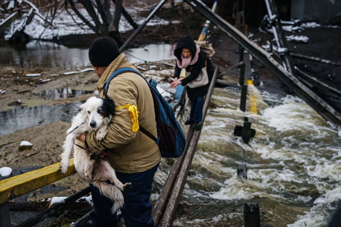 ребрик з