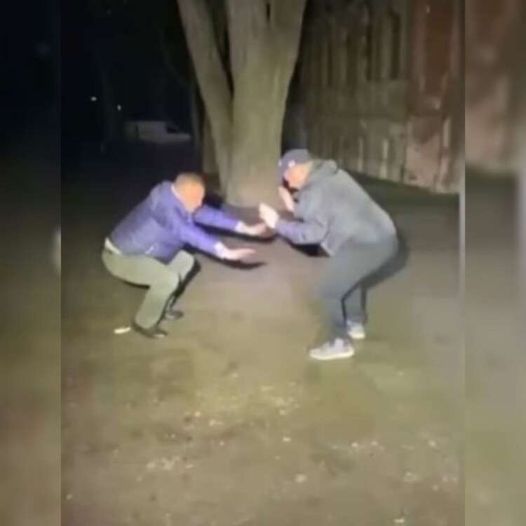 Приседают