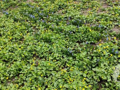 photo_2022-04-11_15-38-12