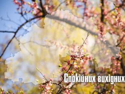 278181137_354692966692744_6333501150928012984_n