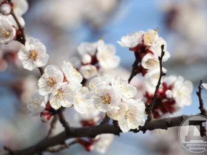 photo_2022-04-15_16-08-42 (3)