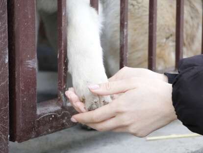 20220415123351__MG_4363