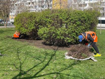 photo_2022-04-22_10-54-31