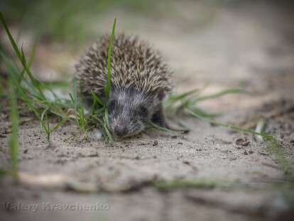 279118789_1624238591296792_3280911616934821503_n