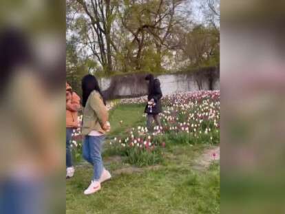 женщина рвет тюльпаны в днепре