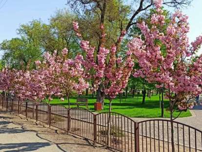 павлоград10