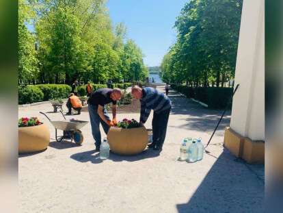 Садят цветы