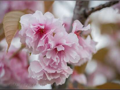 280711173_1635446383509346_3691374067750639666_n