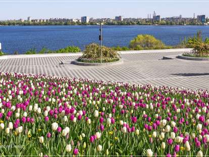 281147643_4763884920382986_1688570715919278634_n