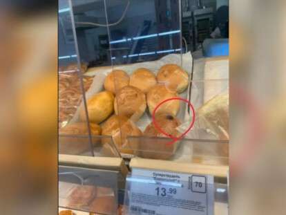 муха на булочке в варусе