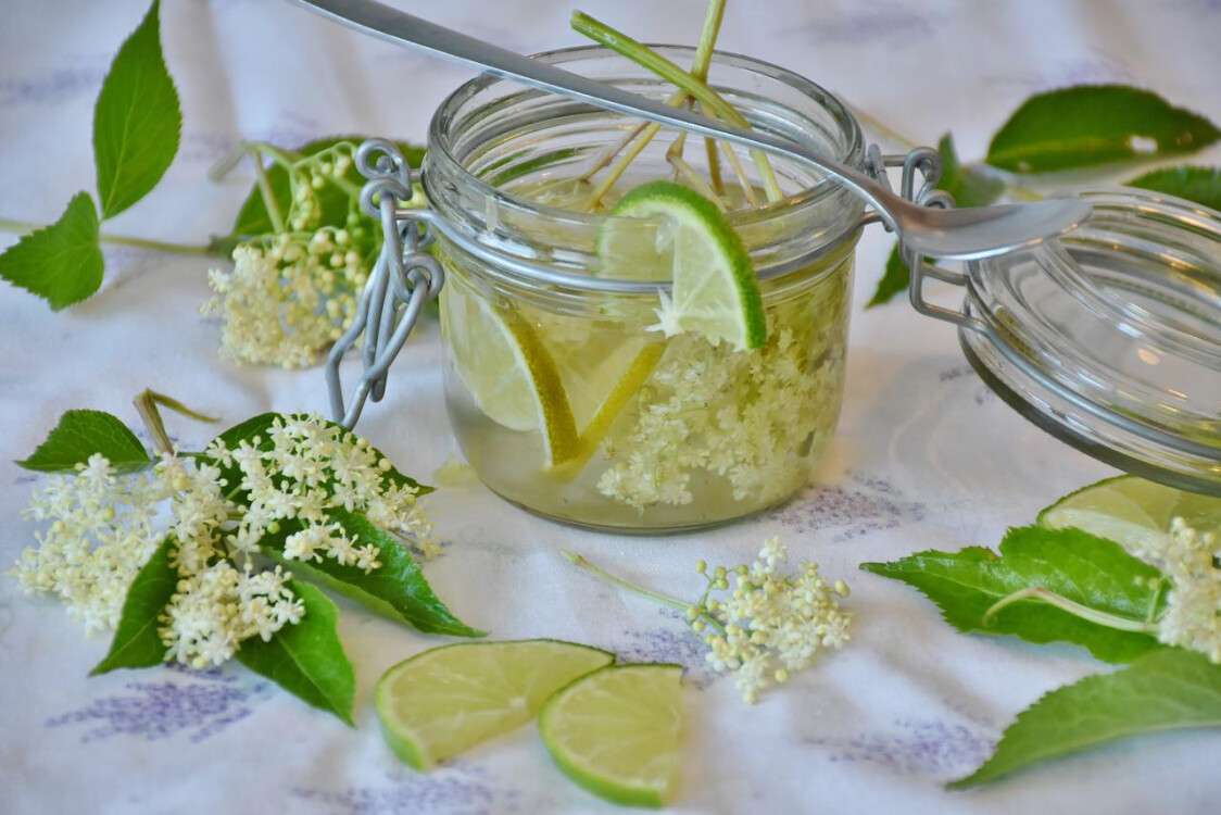 Рецепт меда из бузины от Алекса Якутова | Дніпровська порадниця