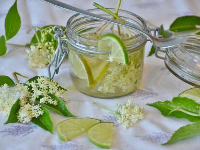 19_05_Мед_из_бузины_PIXABAY