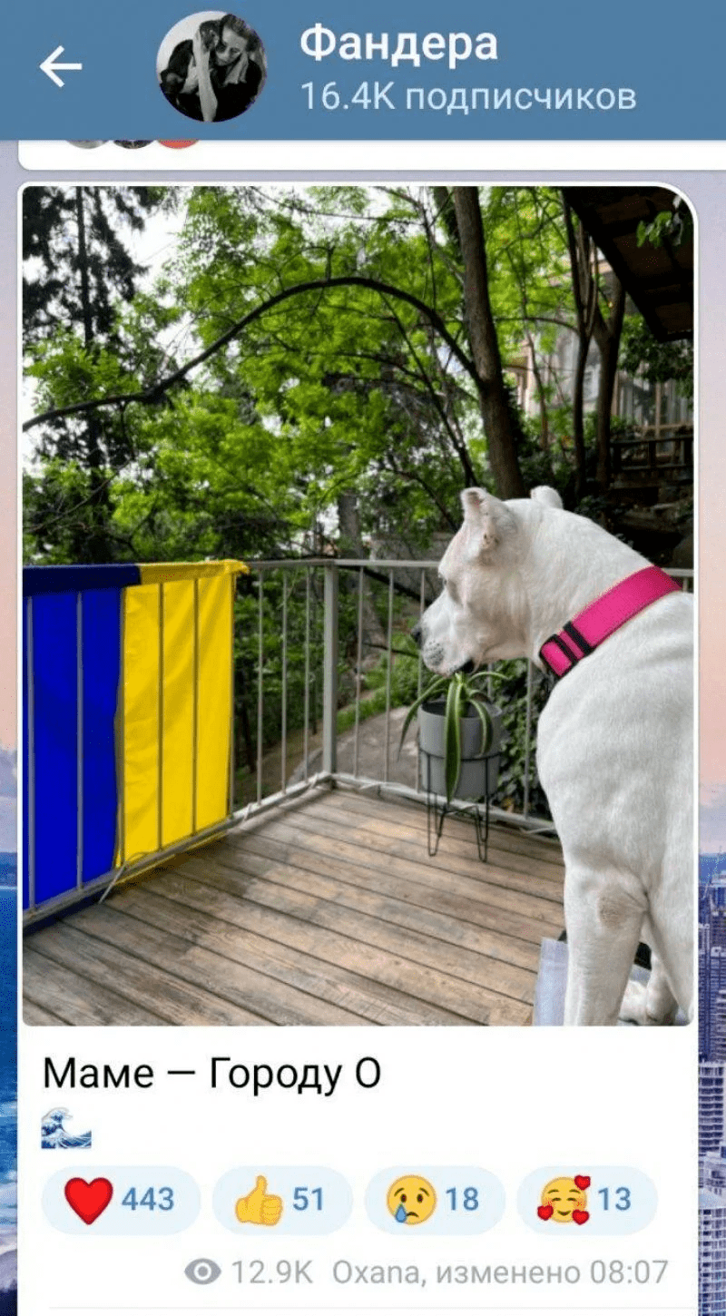 флаг украины на балконе