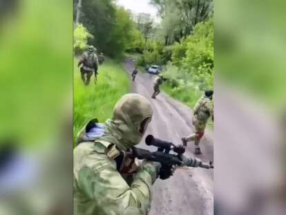 бои с кустами