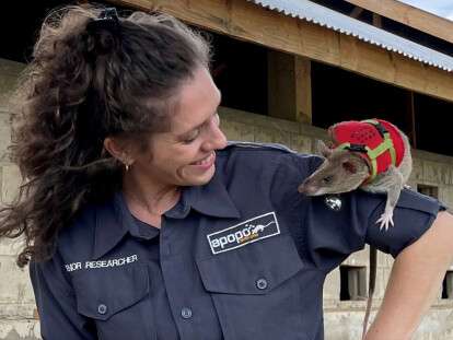 крысы спасатели