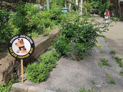 286835956_538042684473228_5438489787427954721_n