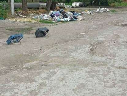 ловушки на голубей