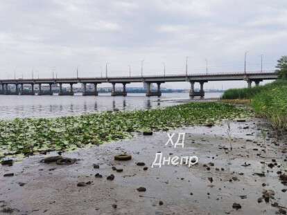 photo_2022-07-02_17-37-58