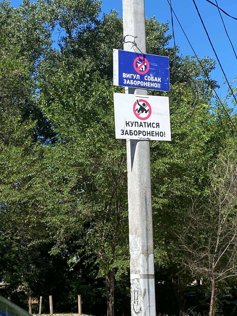 купаться запрещено
