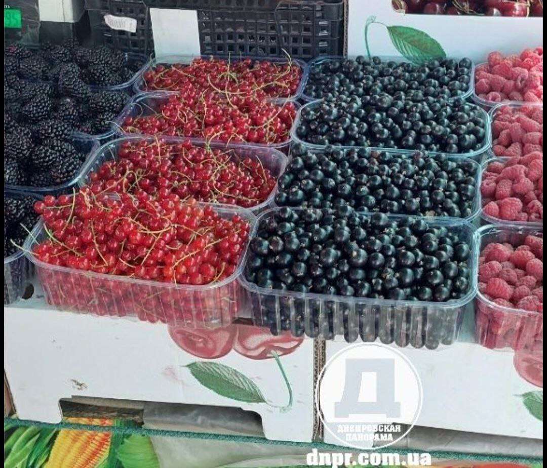 черная красная смородина