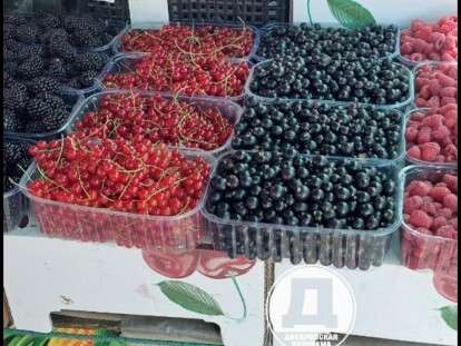 черная красная смородина