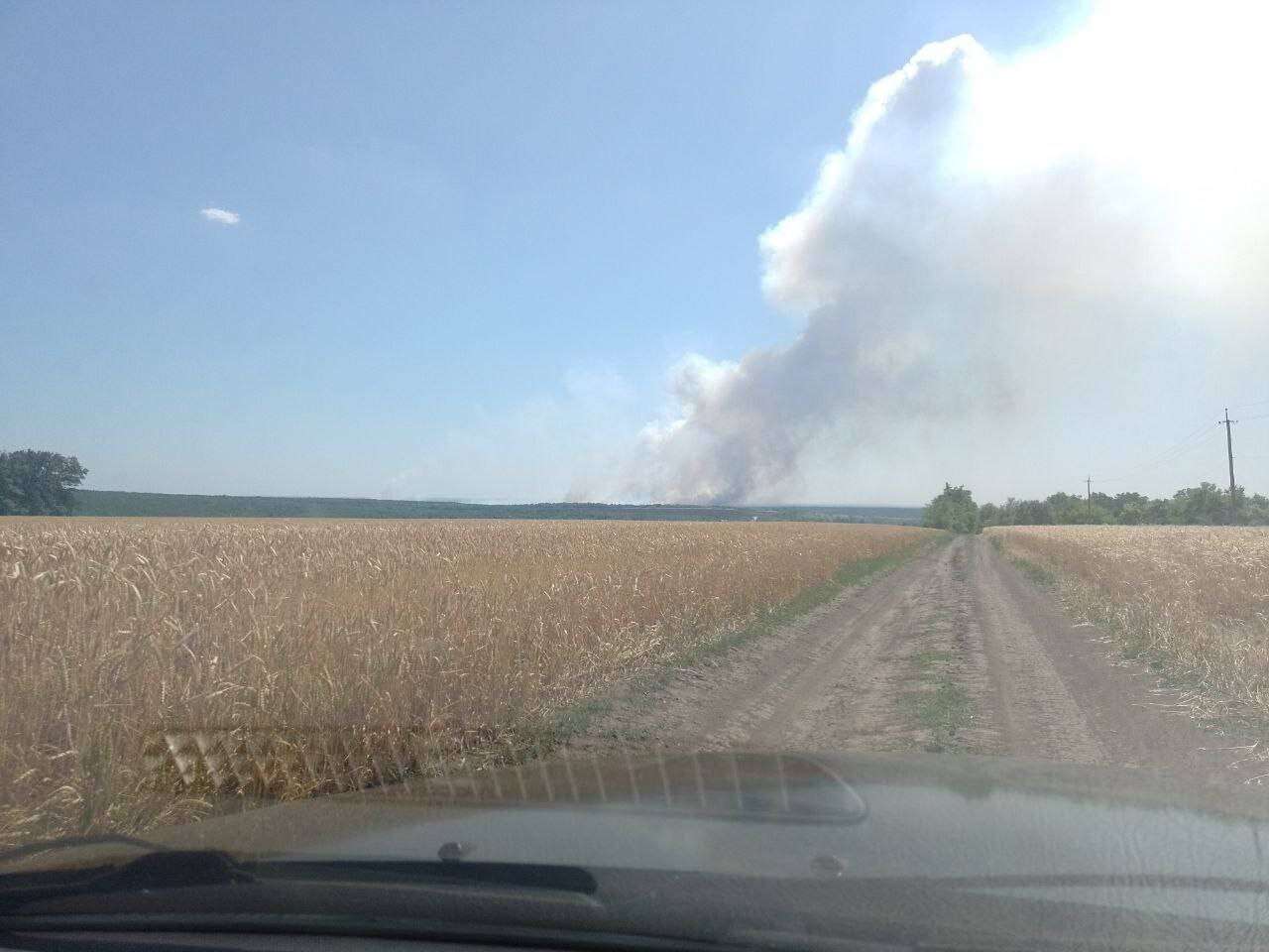 лесной пожар новомосксовск