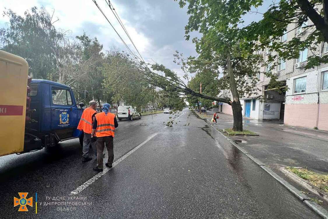 дерево непогода